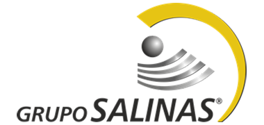 Logo Grupo Salinas